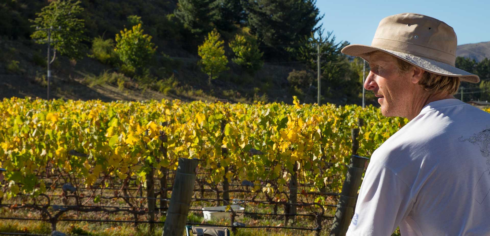 web-design-central-otago-winem
