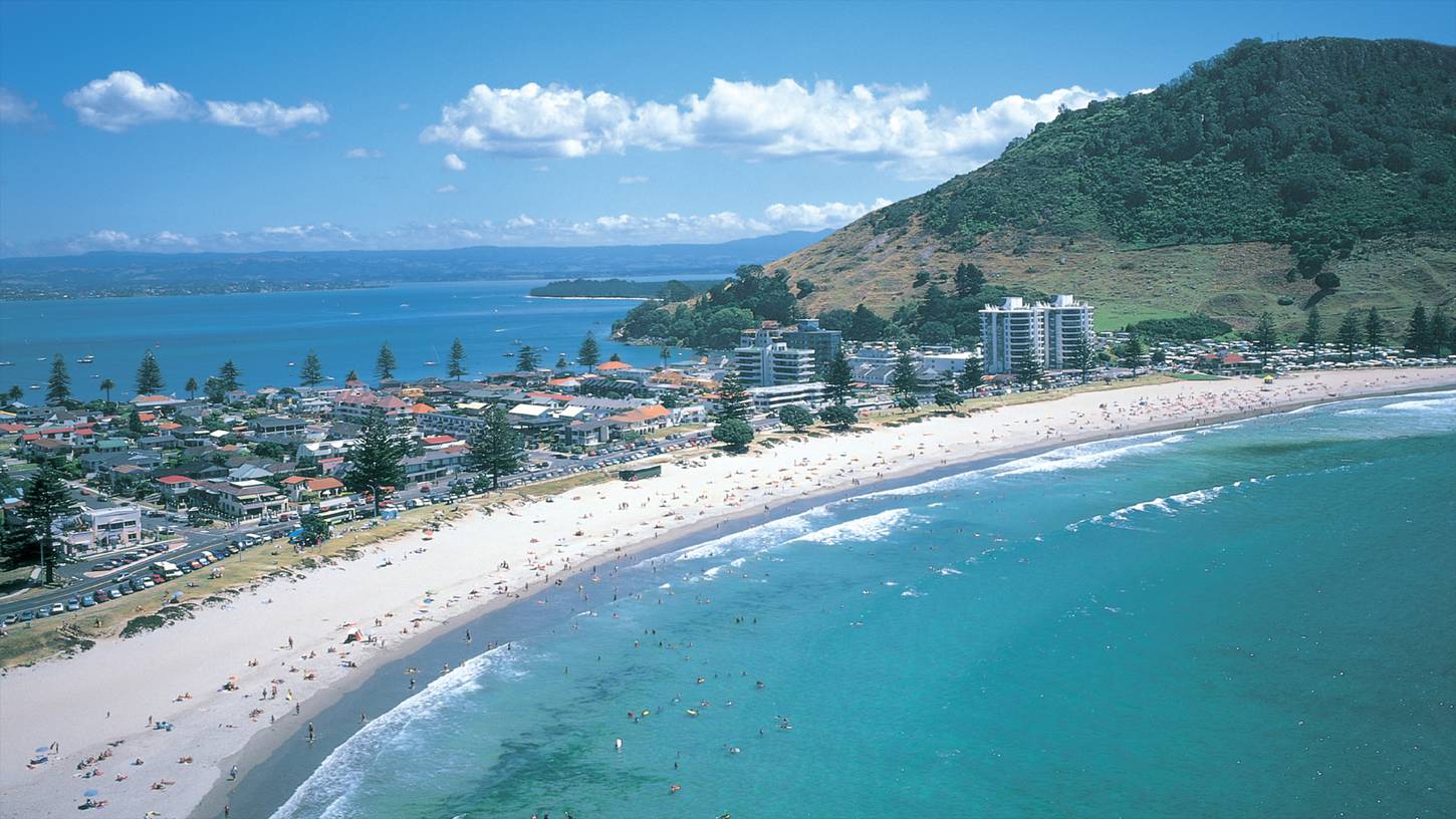 web design tauranga